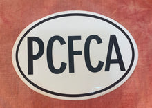 Load image into Gallery viewer, ASSORTED STICKERS