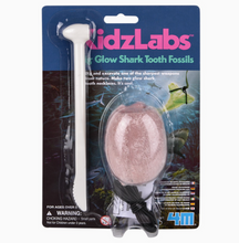 Load image into Gallery viewer, KIDZLABS DIG GLOW SHARK TOOTH FOSSILS
